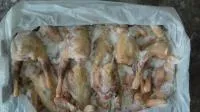 Тушка курицы, несушки, вес 1 кг, ГОСТ, заморозка