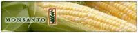 Семена кукурузы Monsanto DKC 3014