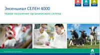 Органический Селен Excential Selenium 4000 (L-селенометионин) Orffa